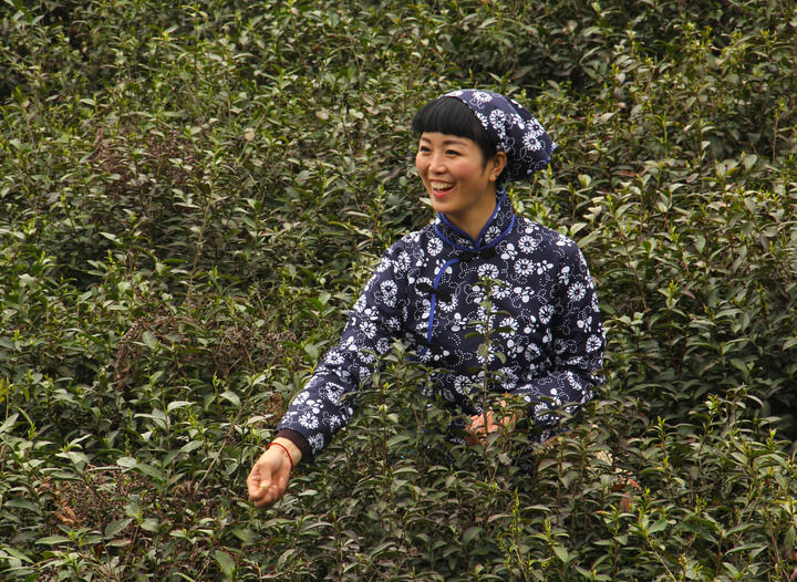 最新4